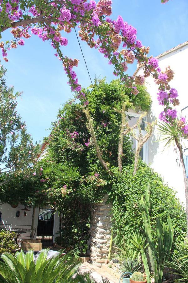 Appartement dans quartier calme avec jardin pour 2 pers Argelès-sur-Mer Extérieur photo